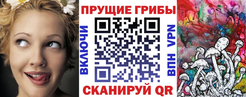 Галлюциногенные грибы Psilocybine cubensis Купить Приволжский